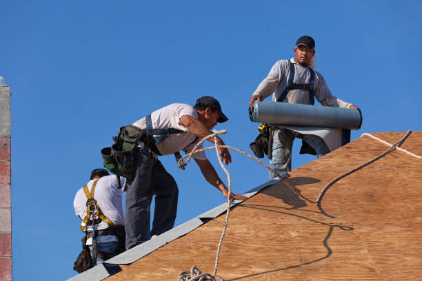 Best Storm Damage Roof Repair  in Hillsboro, TX